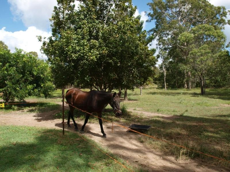 28 Racecourse Road, Barmaryee, Yeppoon QLD 4703