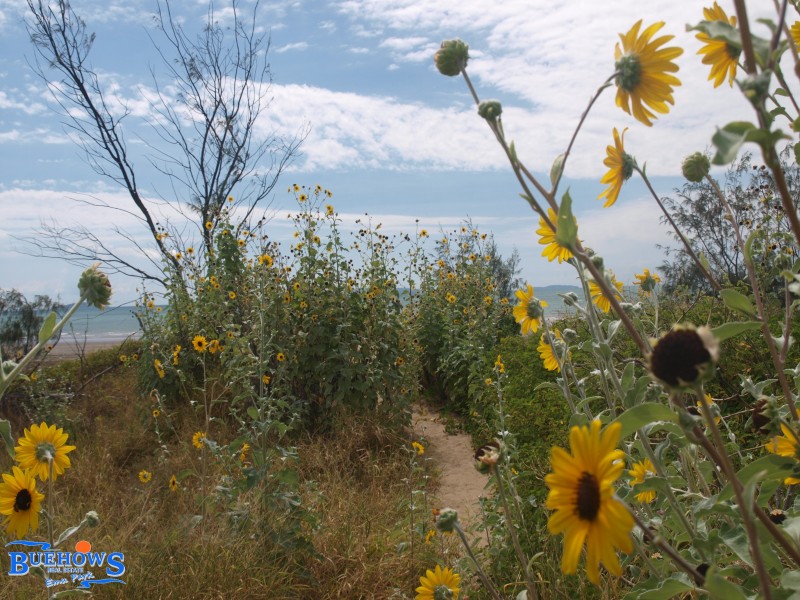 652 Scenic Highway, Mulambin QLD 4703