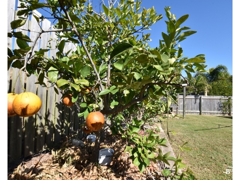 51 Larnach St, Zilzie QLD 4710