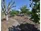 16 Trade Wind Dr, Tanby QLD 4703