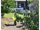 16 Trade Wind Dr, Tanby QLD 4703