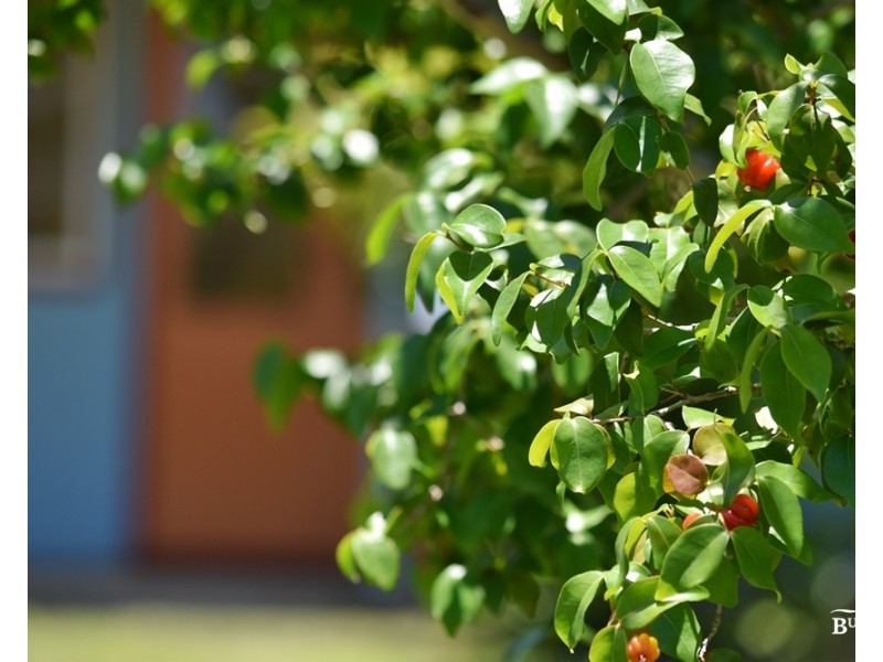 7 Pelican St, Emu Park QLD 4710