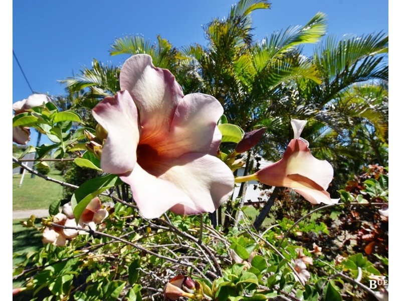 108 Pattison St, Emu Park QLD 4710