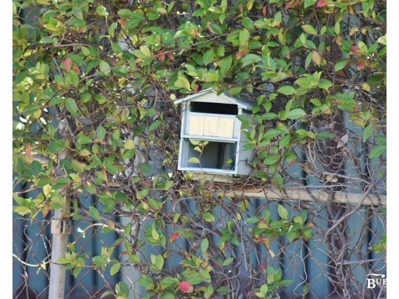 108 Pattison St, Emu Park QLD 4710