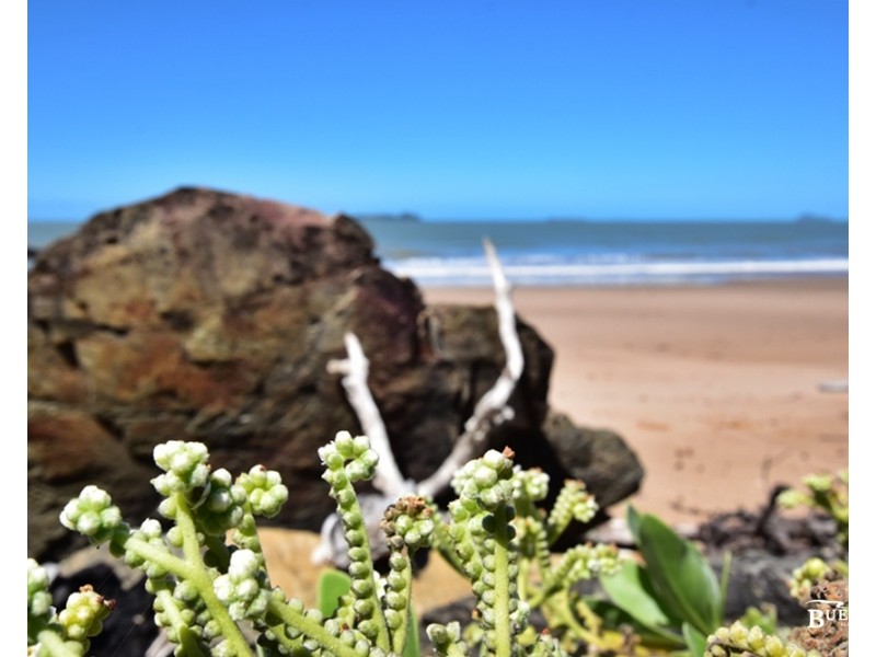 4 Amoria Avenue, Zilzie QLD 4710