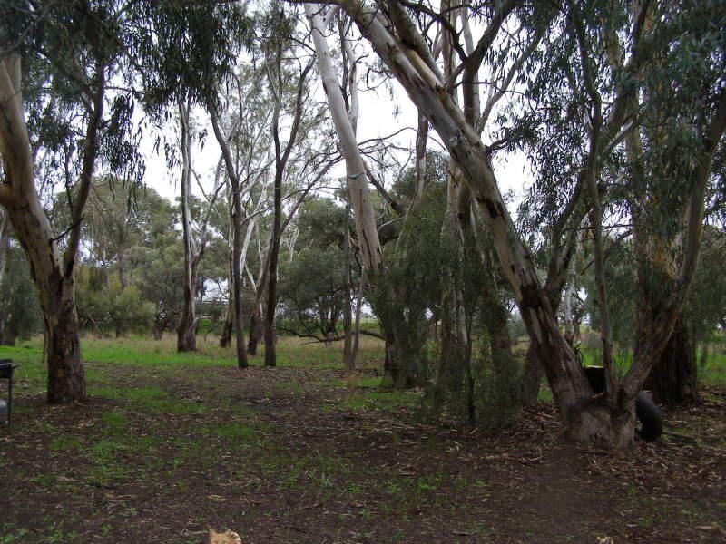 Se-De-Bong Billabong Estate Street, Conargo NSW 2710
