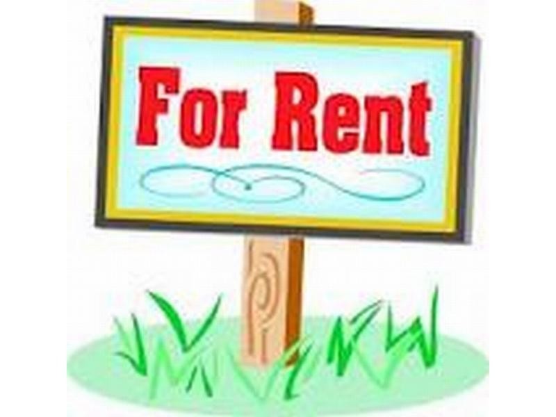 409 Wood Street, Deniliquin NSW 2710