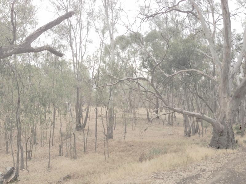 422 Hay Road, Deniliquin NSW 2710