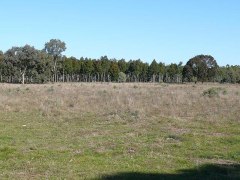 Lot 2 Aratula Road, Deniliquin NSW 2710