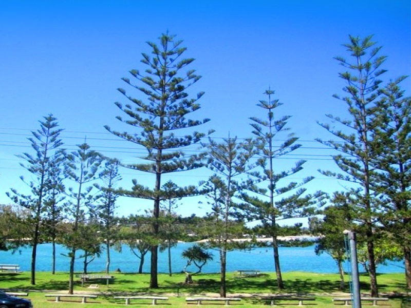 Unit 1/13 Awoonga Avenue, Burleigh Heads QLD 4220