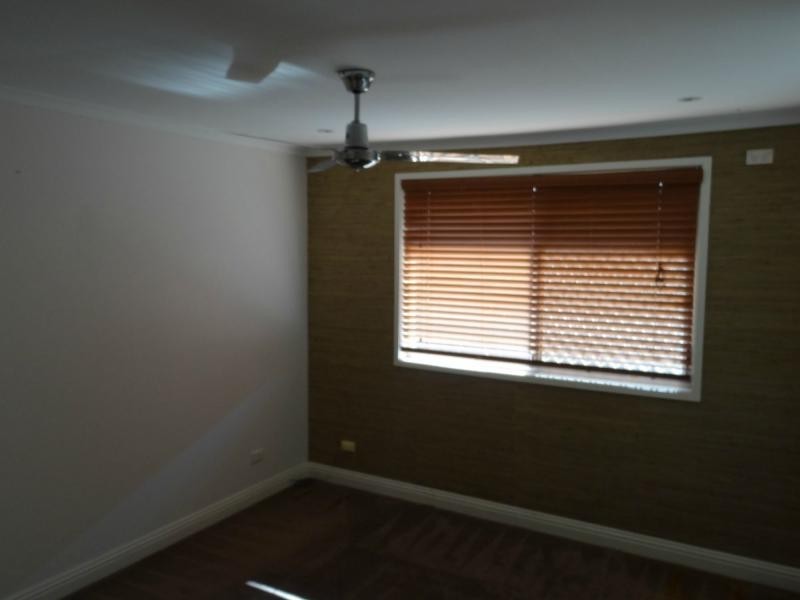 17 Razorbill Street, Burleigh Waters QLD 4220