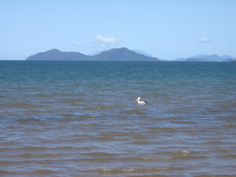 Kurrimine Beach QLD 4871