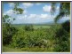 Cowley Beach QLD 4871