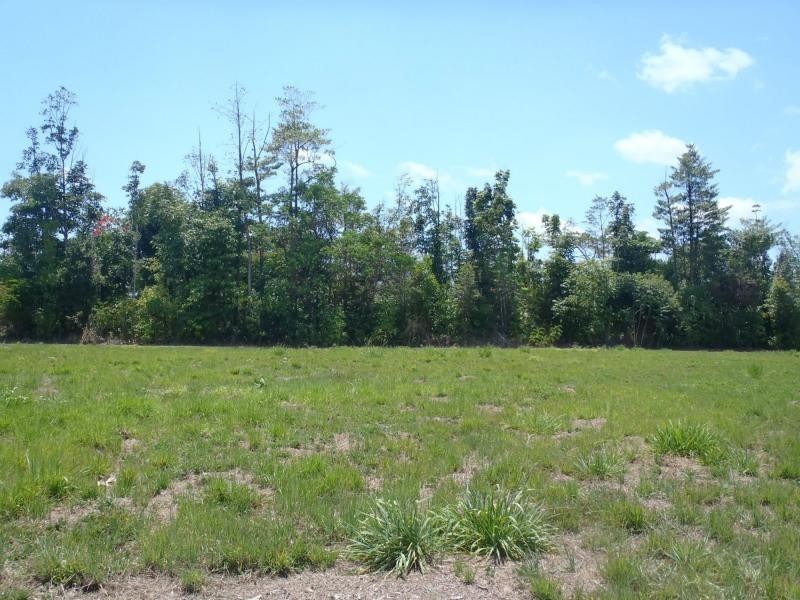Silkwood QLD 4856