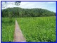 El Arish QLD 4855