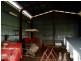 Silkwood QLD 4856