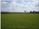 Silkwood QLD 4856