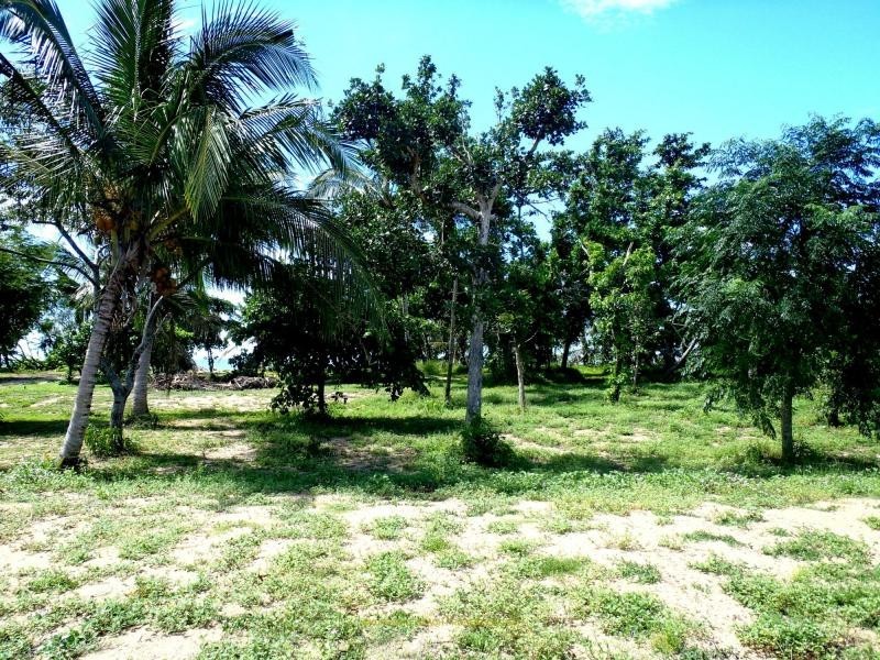 Kurrimine Beach QLD 4871