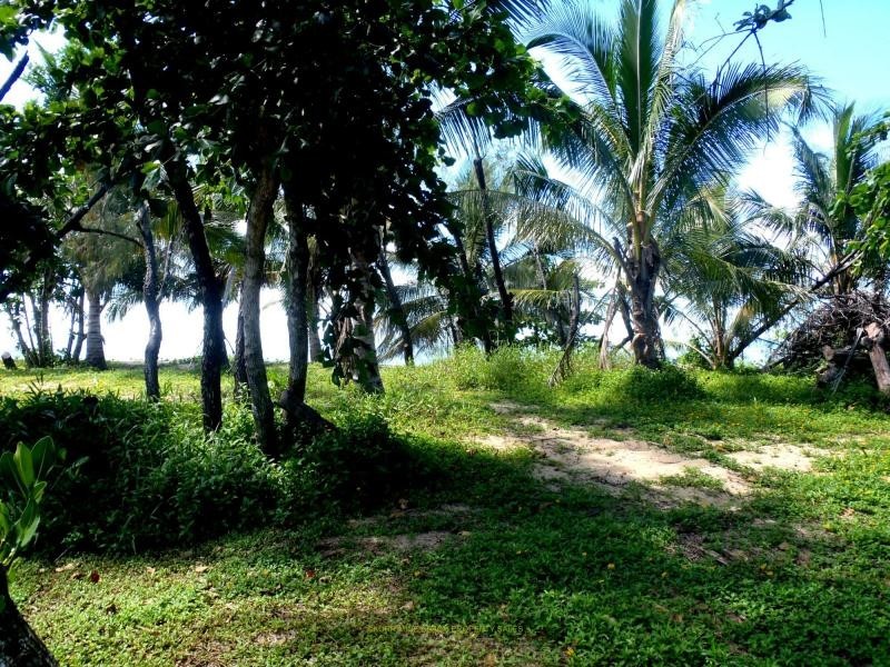 Kurrimine Beach QLD 4871