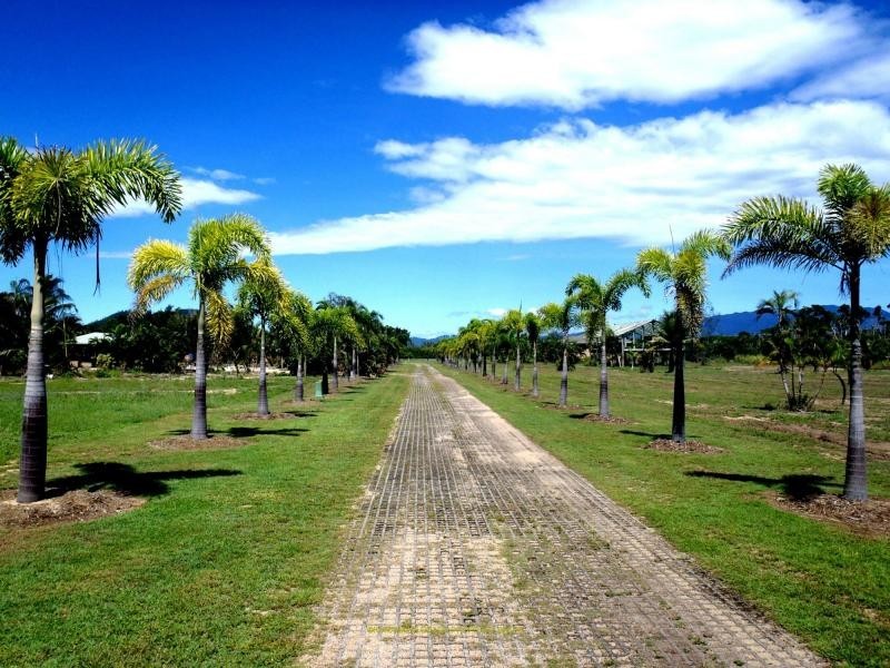 Kurrimine Beach QLD 4871