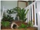 99 JACOBS Road, KURRIMINE BEACH, Kurrimine Beach QLD 4871