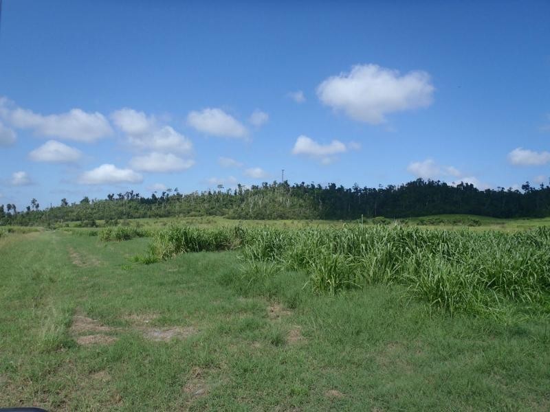 Kurrimine Beach QLD 4871