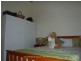 Silkwood QLD 4856