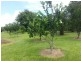 Silkwood QLD 4856