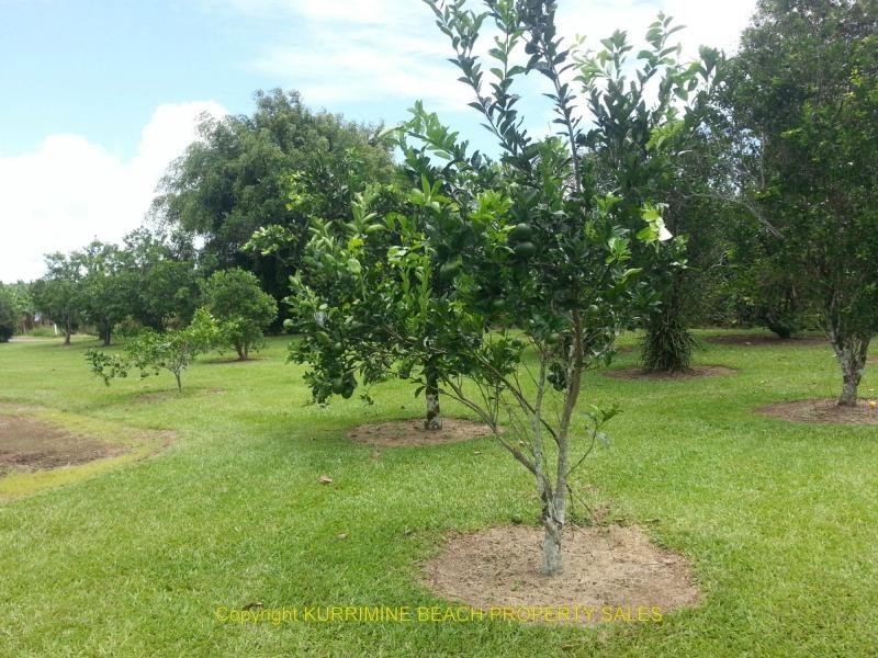 Silkwood QLD 4856