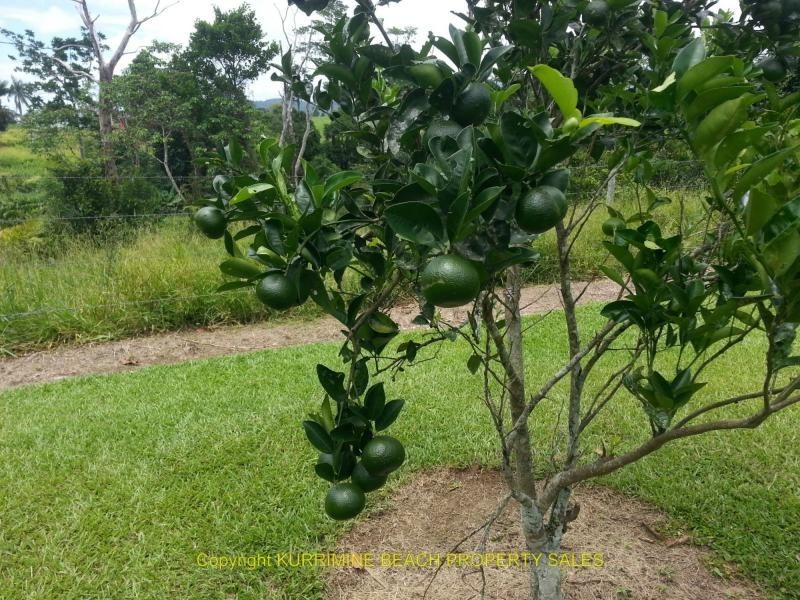 Silkwood QLD 4856