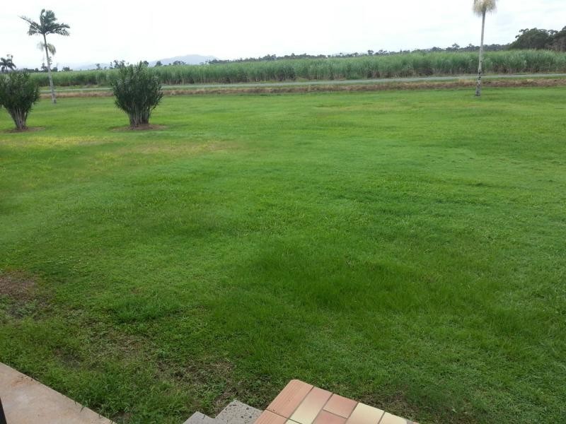 718 MURDERING POINT Road, KURRIMINE BEACH, Kurrimine Beach QLD 4871