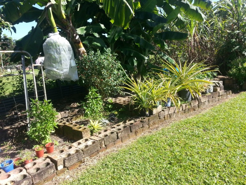 18 Albert Street, Silkwood QLD 4856