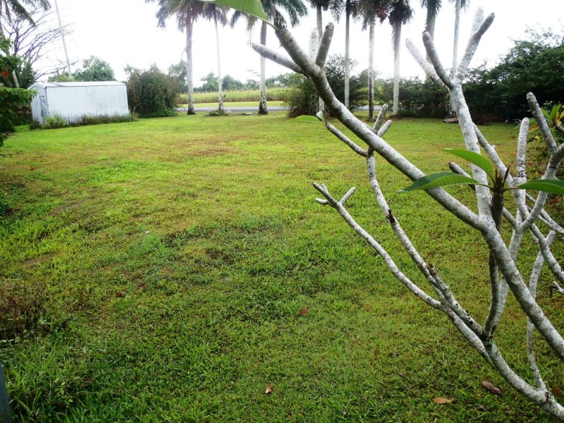 El Arish QLD 4855