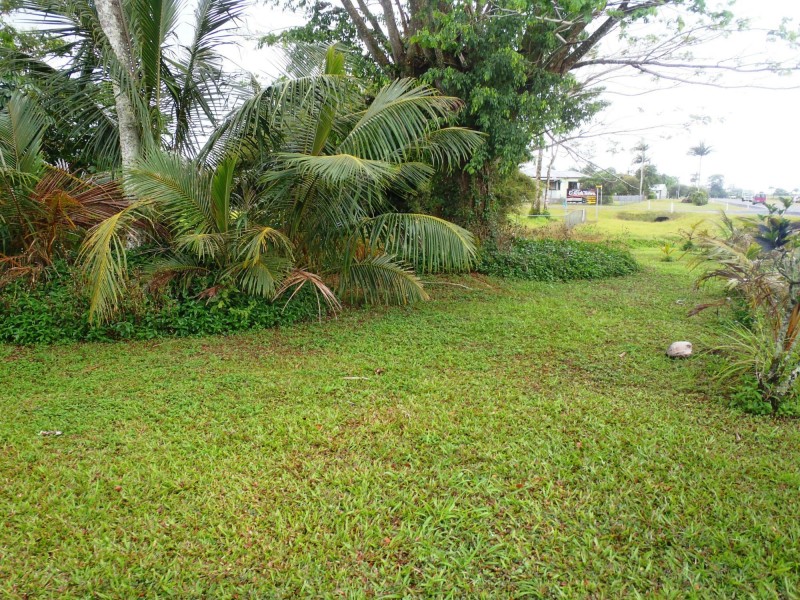 El Arish QLD 4855