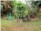 El Arish QLD 4855