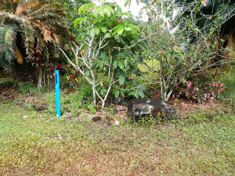El Arish QLD 4855