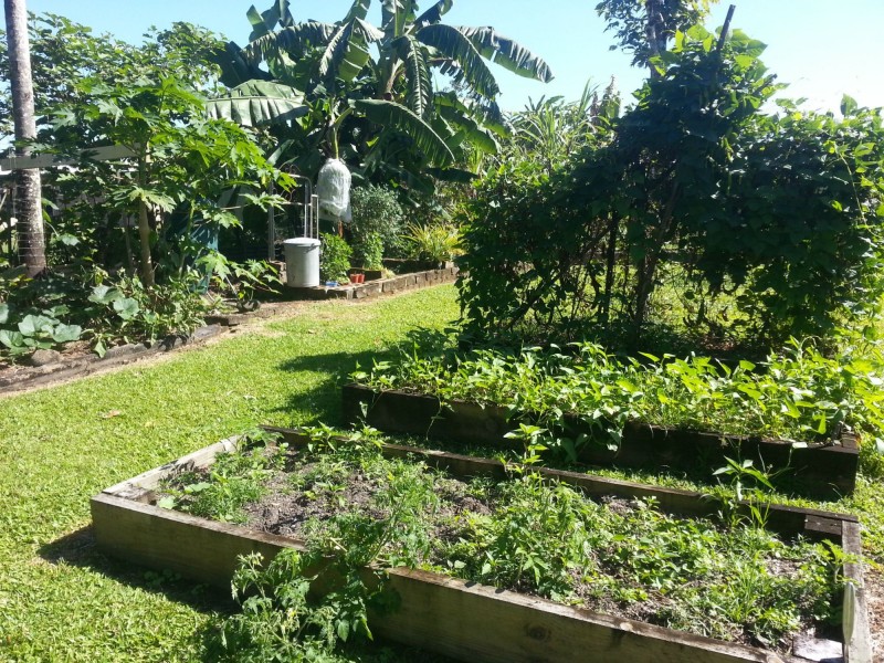 18 Albert Street, Silkwood QLD 4856