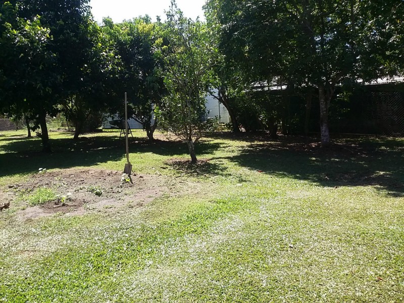 6 Henry Street, Silkwood QLD 4856