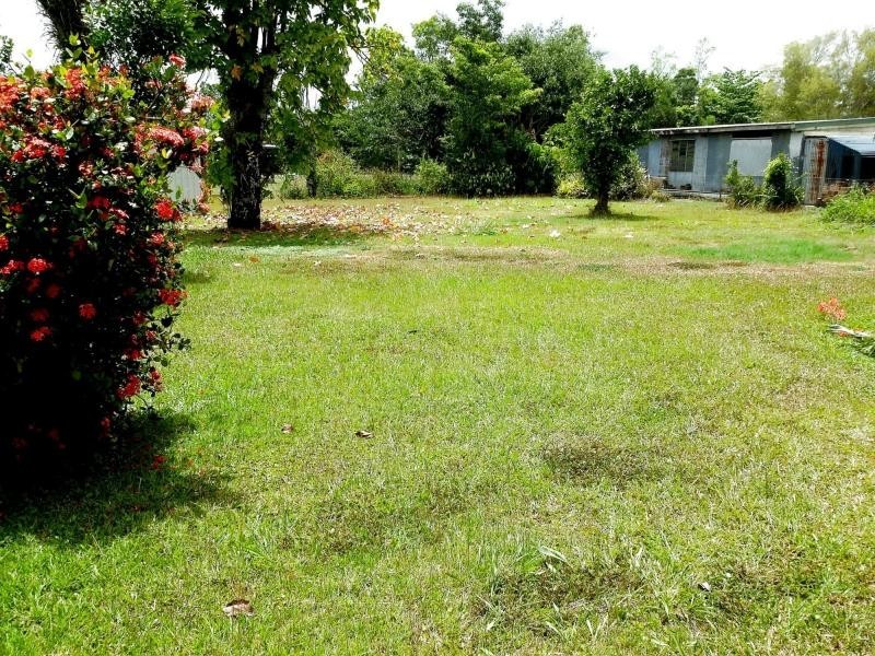 14 ALBERT Street, SILKWOOD, Silkwood QLD 4856