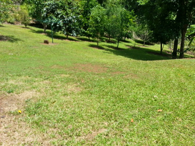 144 Azzopardi Road, Japoonvale QLD 4856