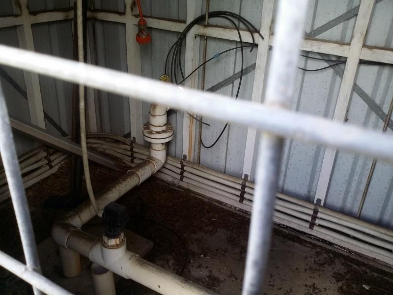 516 MURDERING POINT Road, Kurrimine Beach, Kurrimine Beach QLD 4871