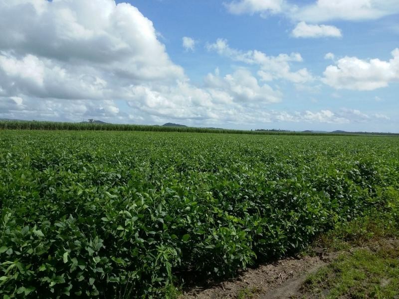 516 MURDERING POINT Road, Kurrimine Beach, Kurrimine Beach QLD 4871