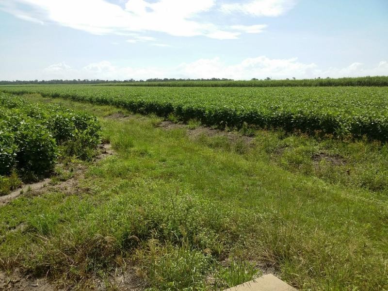 516 MURDERING POINT Road, Kurrimine Beach, Kurrimine Beach QLD 4871