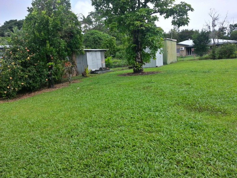 14 Albert Street, Silkwood QLD 4856