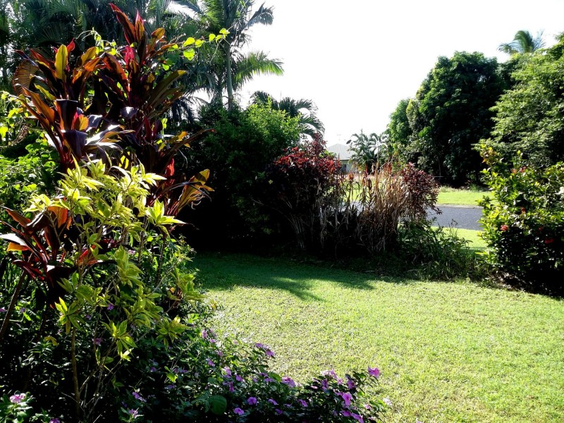 43 Taylor Street, Kurrimine Beach QLD 4871