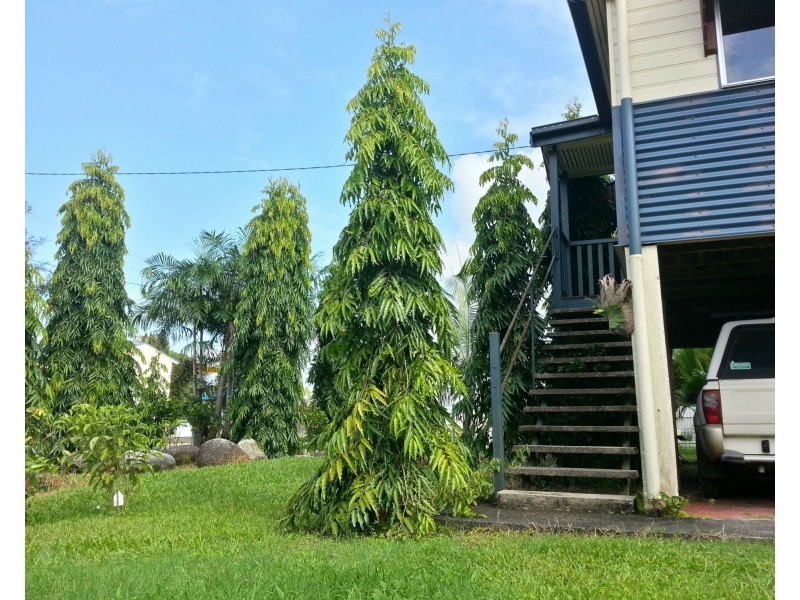 3 Walter Lver Road, Silkwood QLD 4856