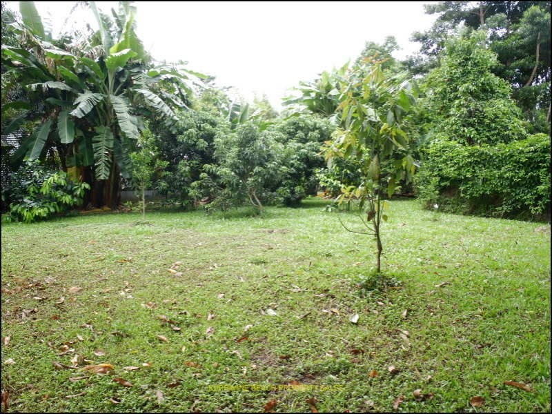 Silkwood QLD 4856
