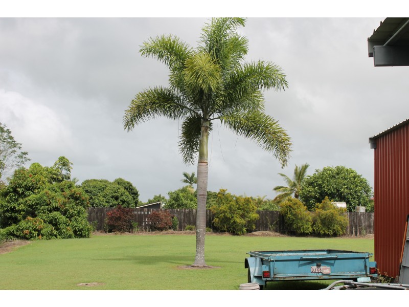 564 Murdering Point Rd, Kurrimine Beach QLD 4871