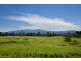 91 Walter Lever Estate Rd, Walter Lever Estate QLD 4856
