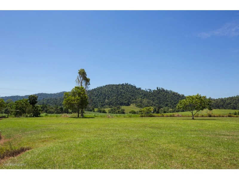 91 Walter Lever Estate Rd, Walter Lever Estate QLD 4856